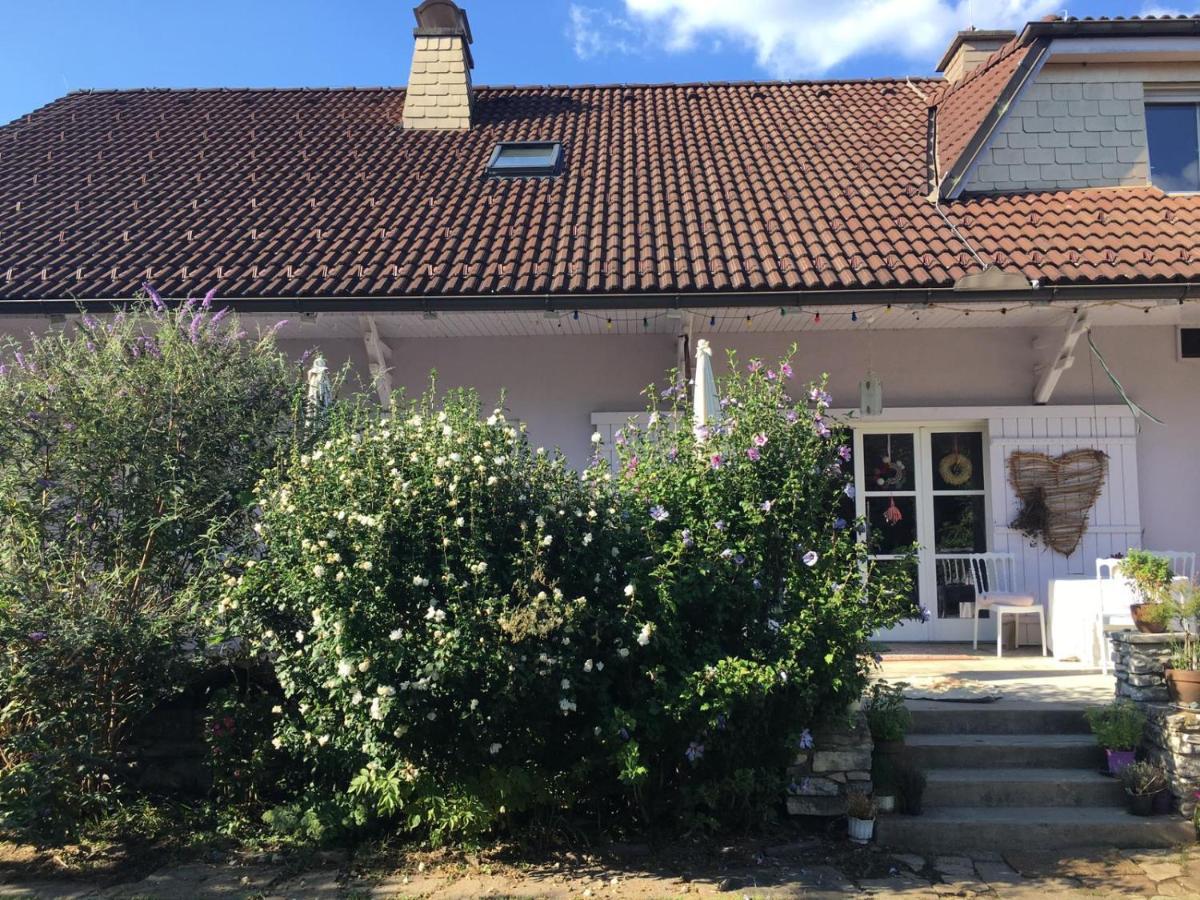 Villa Carla Ehrenhausen Exteriér fotografie